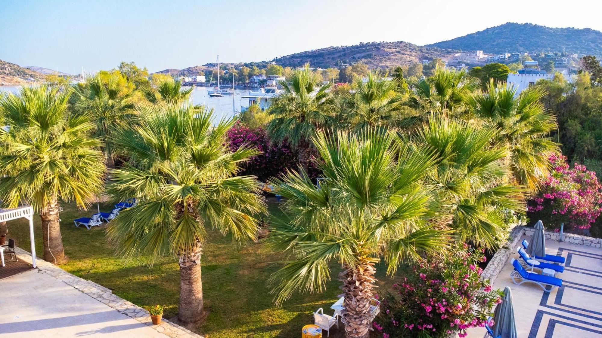 Ladonia Hotels Zemda Guemuesluek Dış mekan fotoğraf
